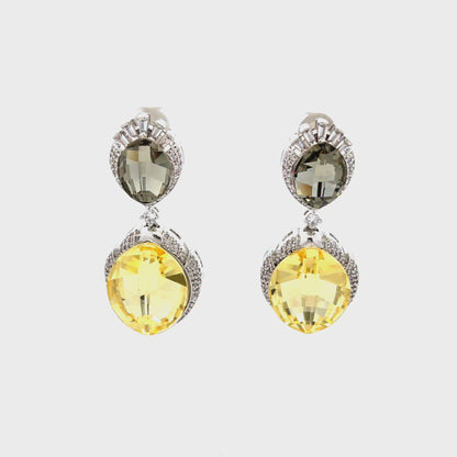 Elegant Two-Tone Drop Earrings