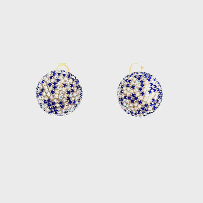 Elegant Blue and Silver Earrings